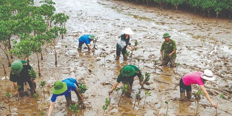 Ảnh hưởng khí hậu tới kinh tế Cà Mau