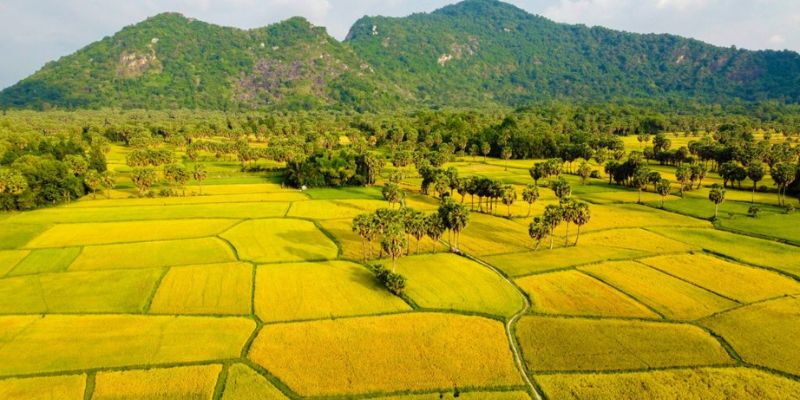 Các đơn vị quận huyện thuộc tỉnh An Giang