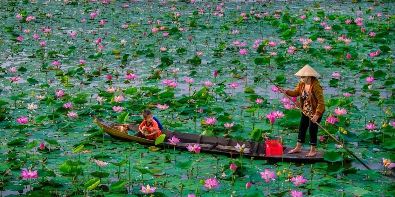 Đặc điểm tỉnh Đồng Tháp