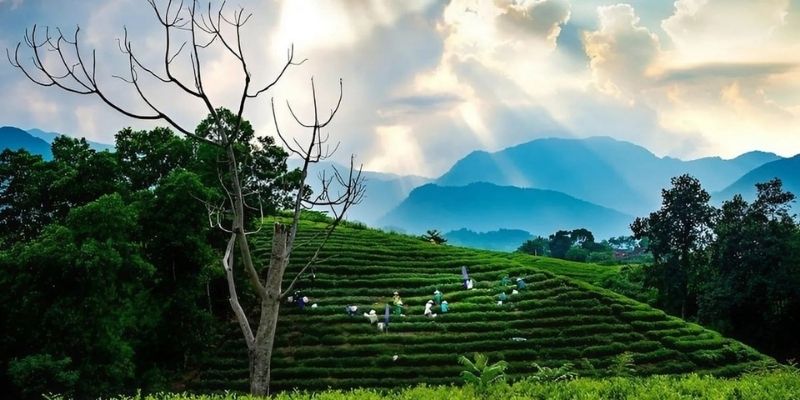 Dự báo thời tiết Thái Nguyên nhanh nhất
