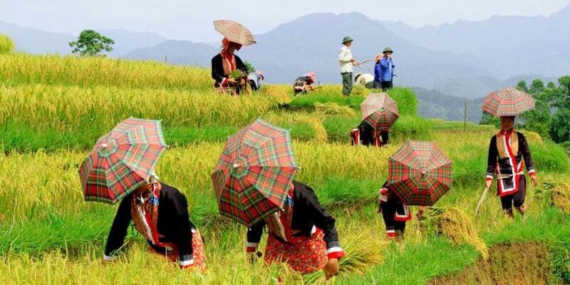 Dự báo thời tiết Tuyên Quang dài từ 7 - 30 ngày