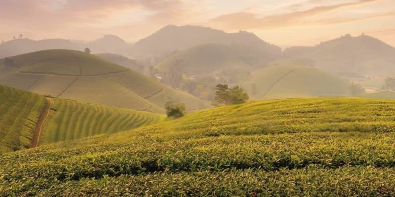 Khác biệt ở huyện vùng núi và thành phố