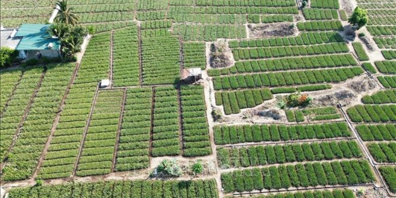 Khám phá đặc điểm khí hậu Ninh Thuận