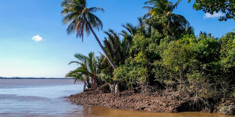 Khí hậu ven biển và cù lao