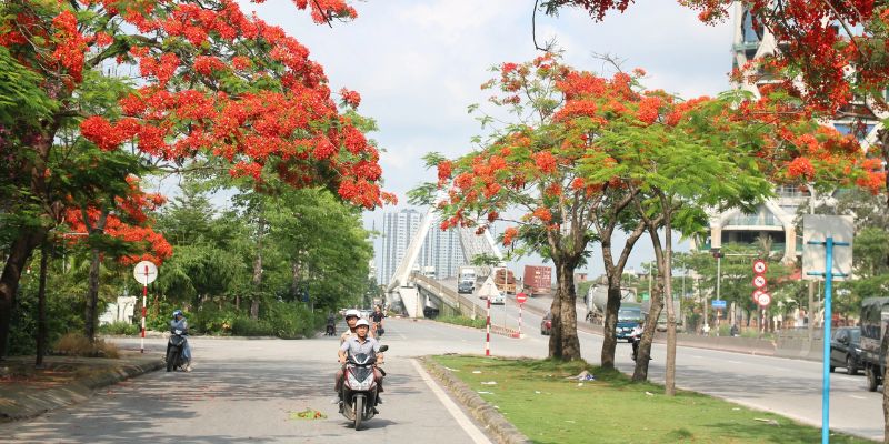Khoảng thời gian lý tưởng để tới Hải Phòng