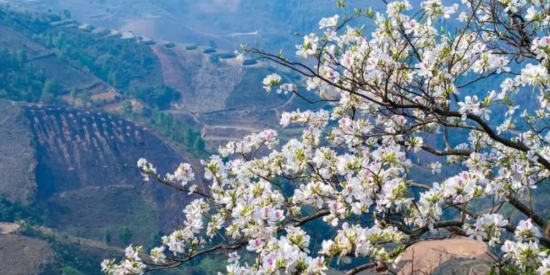 Sự khác biệt khí hậu các vùng ở Điện Biên