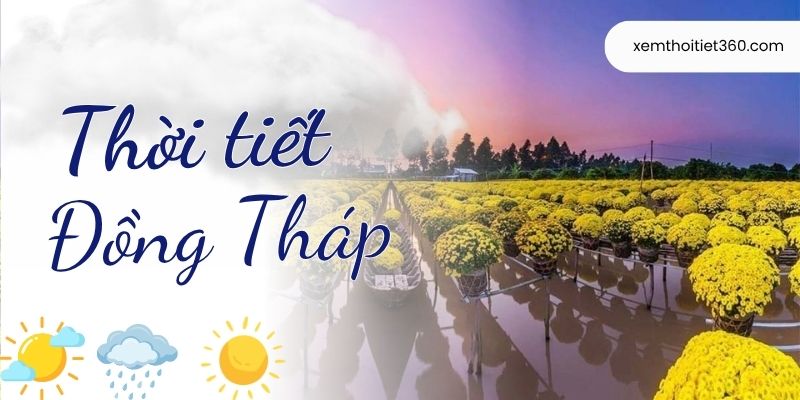 Thời Tiết Đồng Tháp - Dự Báo Mới Nhất Theo Từng Khu Vực