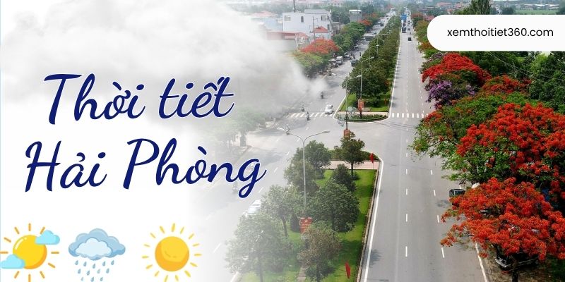 Thời Tiết Hải Phòng – Cập Nhật Nhiệt Độ, Khí Hậu Chi Tiết