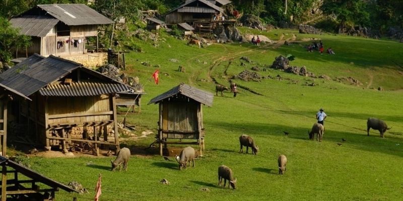 Xem dự báo thời tiết giúp người nông dân chuẩn bị trước các thiên tai, mưa bão