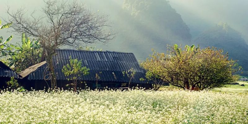 Xem dự báo thời tiết giúp bạn chuẩn bị tốt cho chuyến du lịch Sơn La