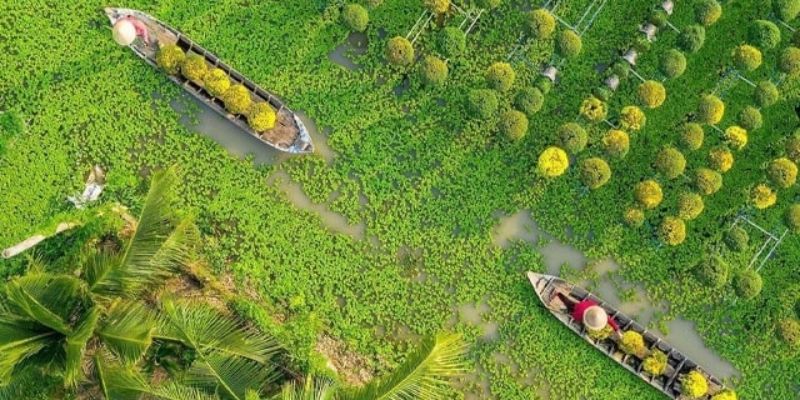 Tìm hiểu về các đơn vị hành chính tỉnh Đồng Tháp
