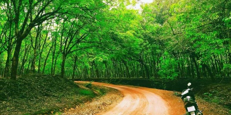 Tình hình thời tiết Bình Phước